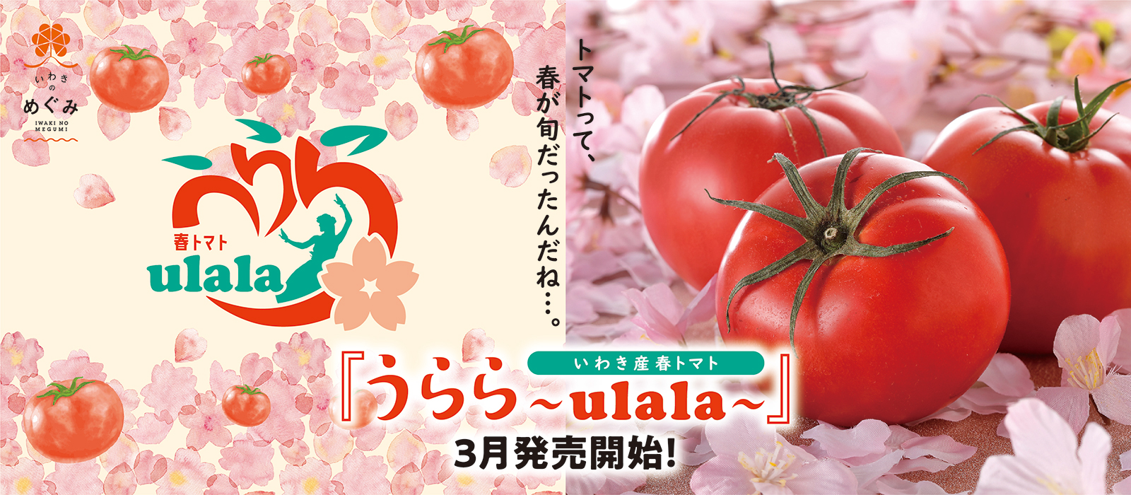 春トマト「うらら〜ulala〜」