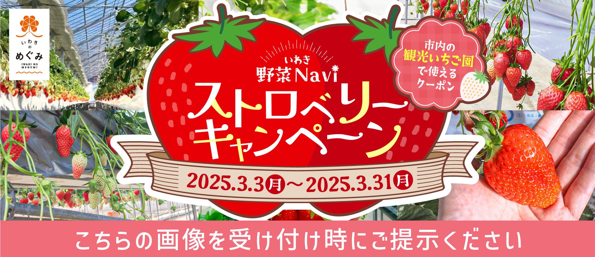大野水耕生産組合(大野観光いちご園)