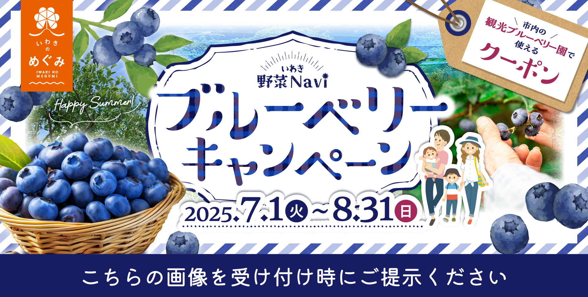ピコブルーベリー農園
